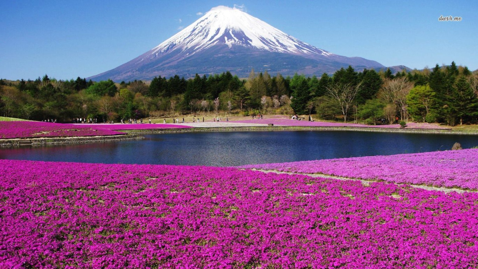 GÜNEY KORE ve Doğan Güneşin Ülkesi JAPONYA