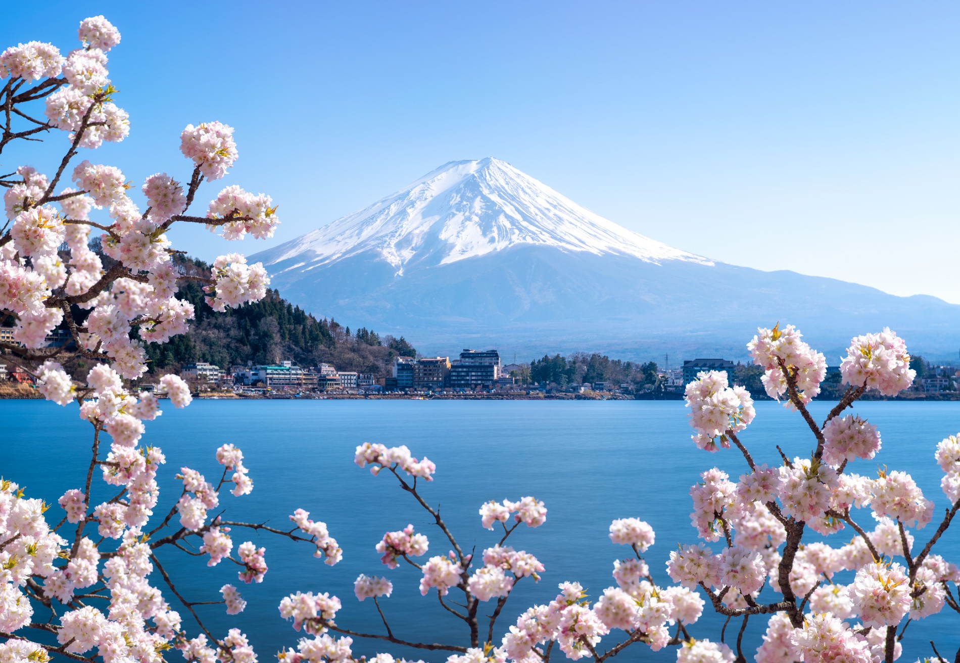 Arya Gezi Sakura Döneminde G. KORE ve Doğan Güneşin Ülkesi JAPONYA